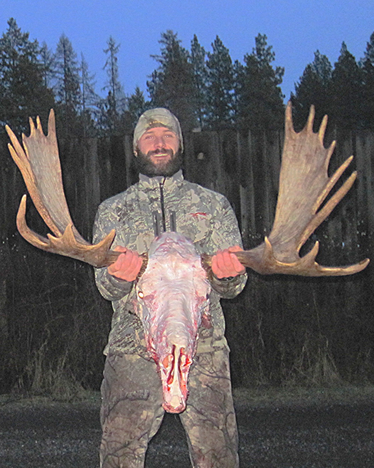 Washington Shiras Moose Trophy Care
