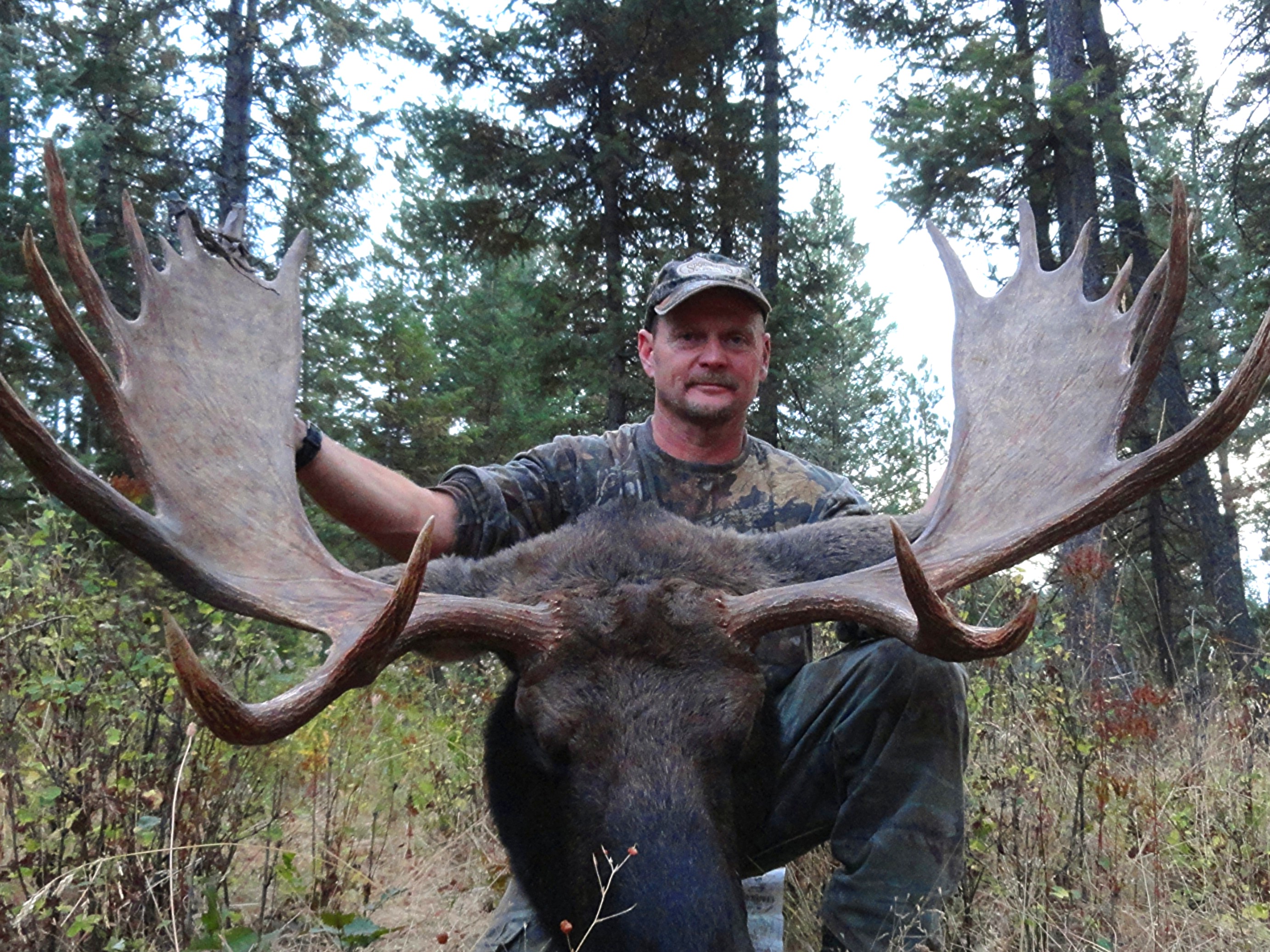 Washington DIY Moose Hunting Map