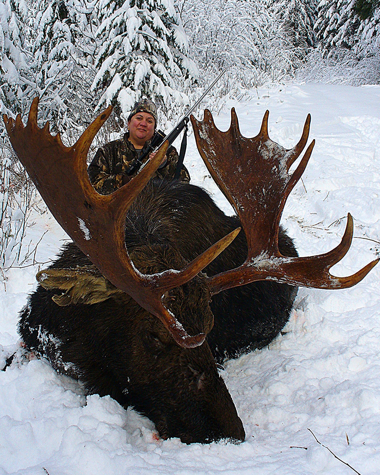 Photo Washington Shiras Moose Hunt