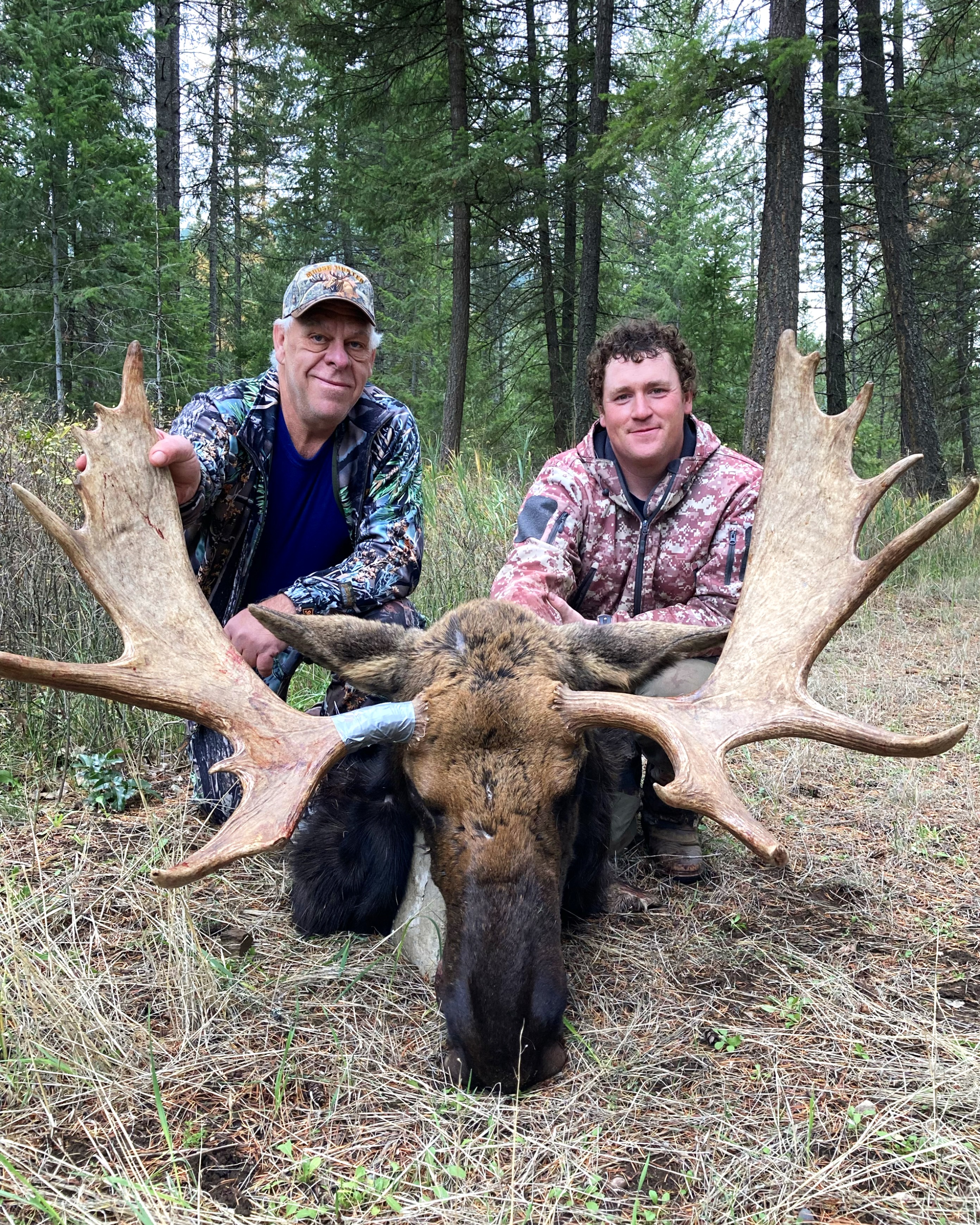 Washington Shiras Bull Moose