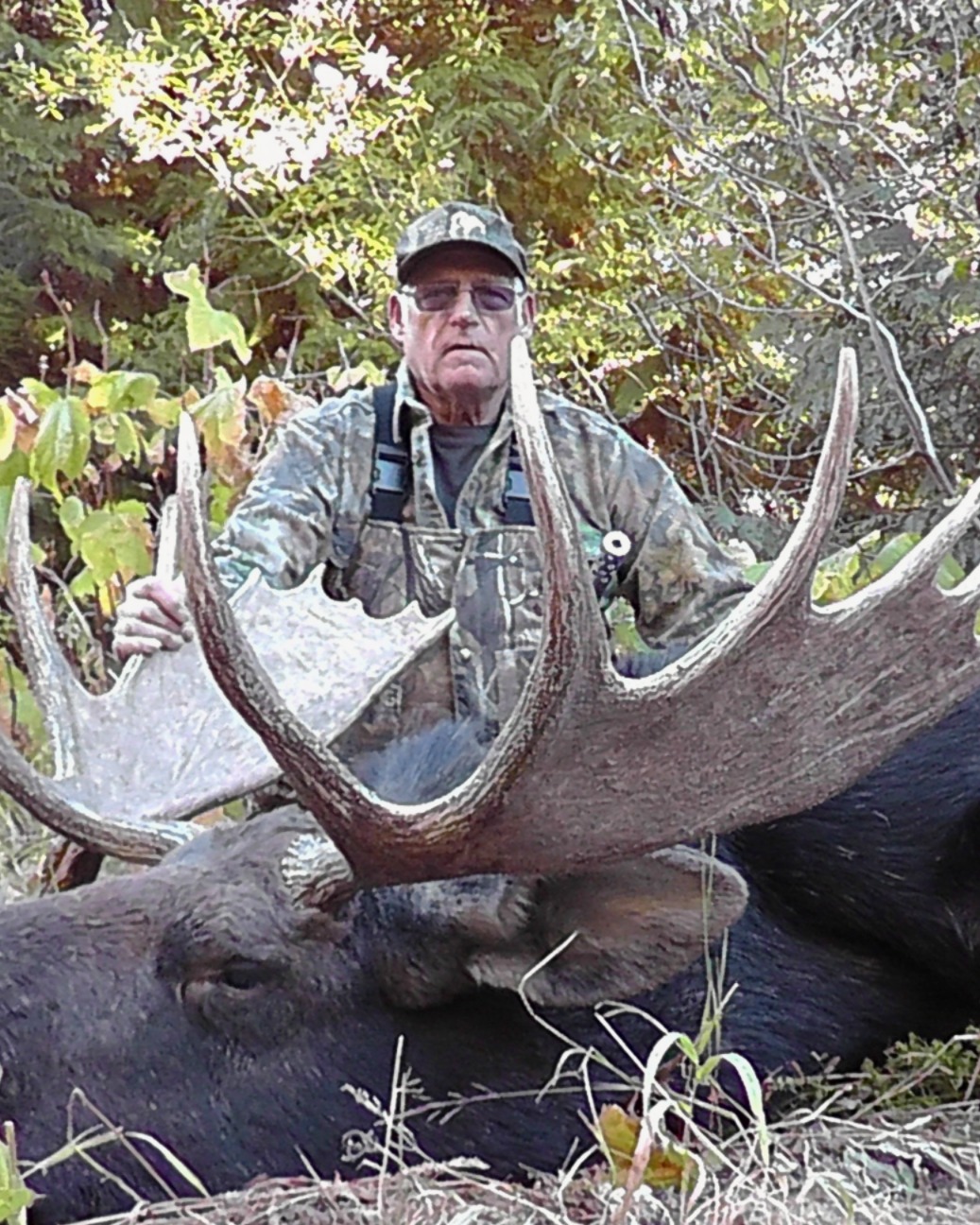 Washington Spot And Stalk Moose Hunt