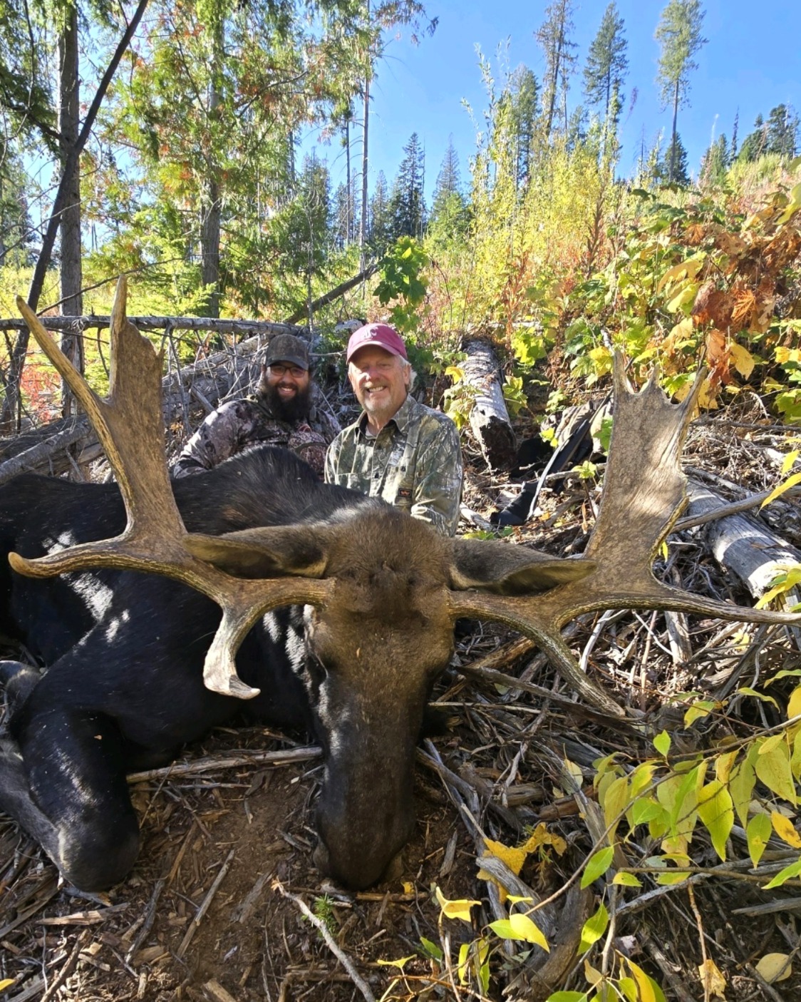 Photo Of Guided Washington Moose Hunt
