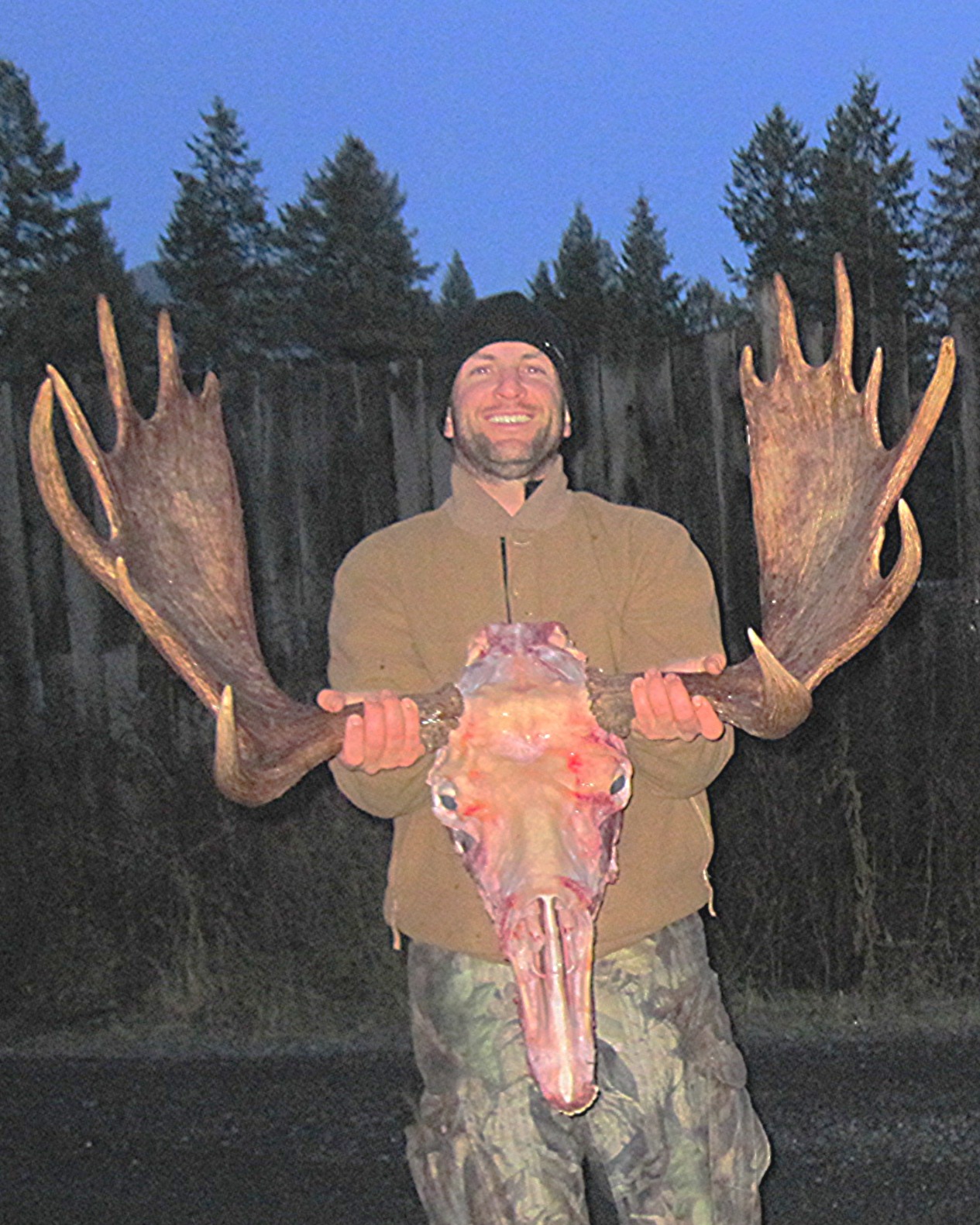 Trophy Washington Shiras Moose