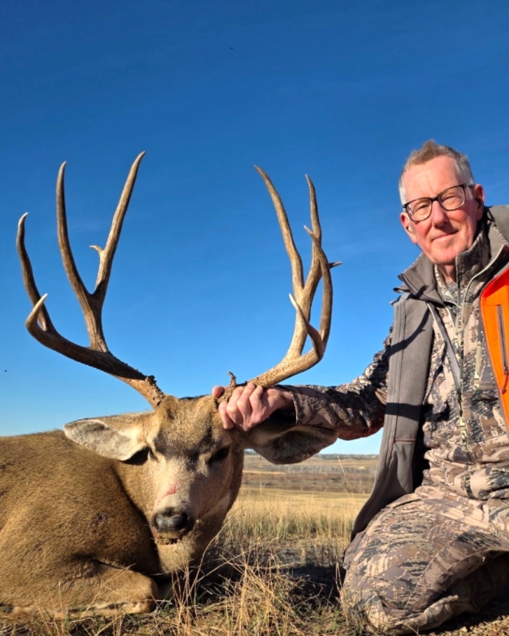 Montana Trophy Mule Deer Buck