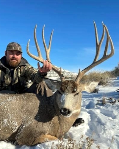 Contact Bearpaw Outfitters Montana Mule Deer