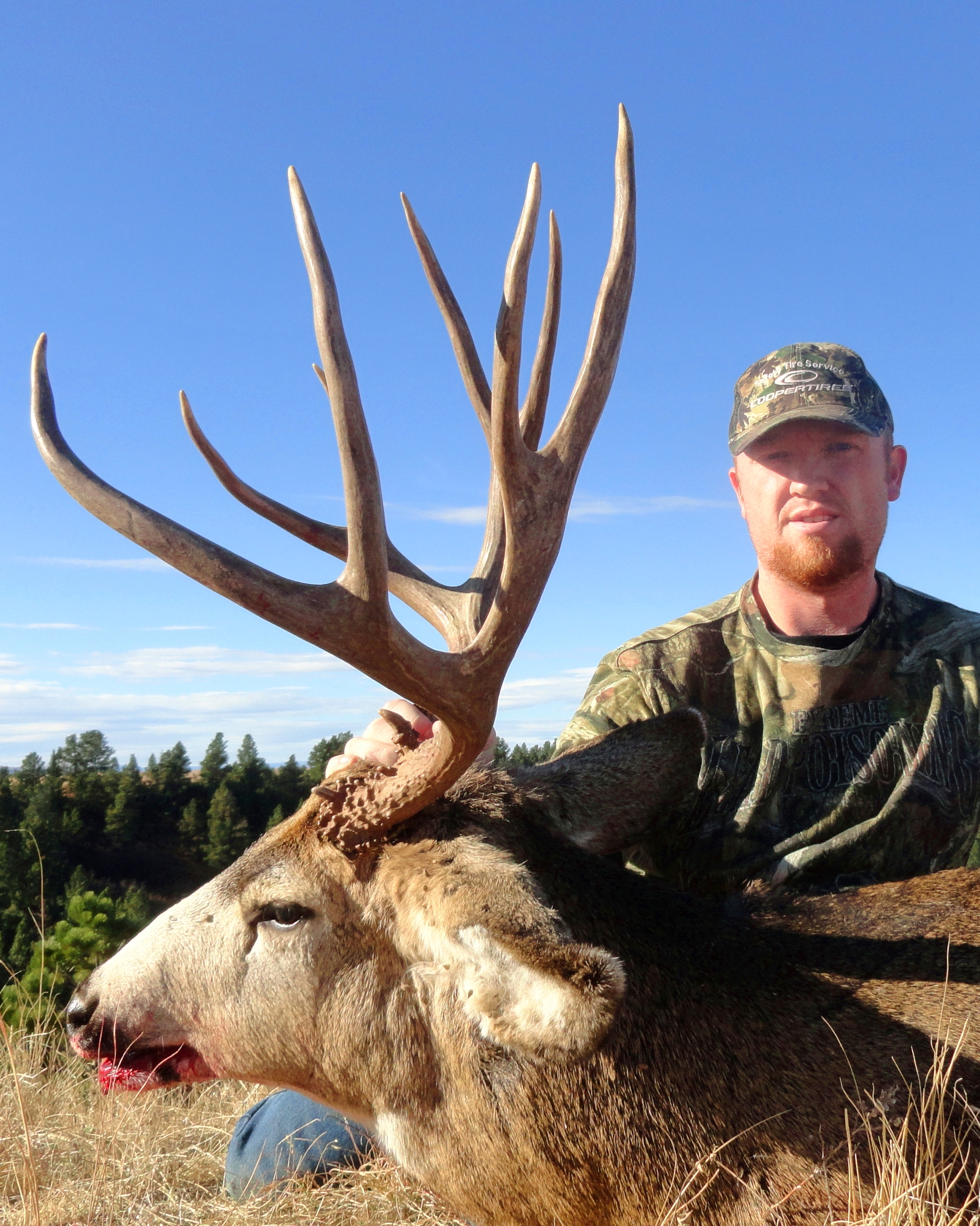 Montana Deer and Antelope Combo Hunt