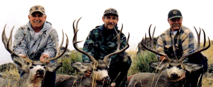 Montana Trophy Mule Deer Group Hunt