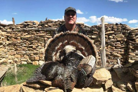 Montana Merriams Turkey Hunter