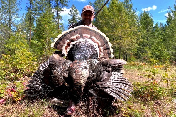 Washington Turkey Hunt