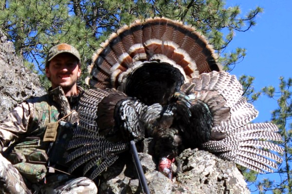 Tom's Spring Turkey Hunt