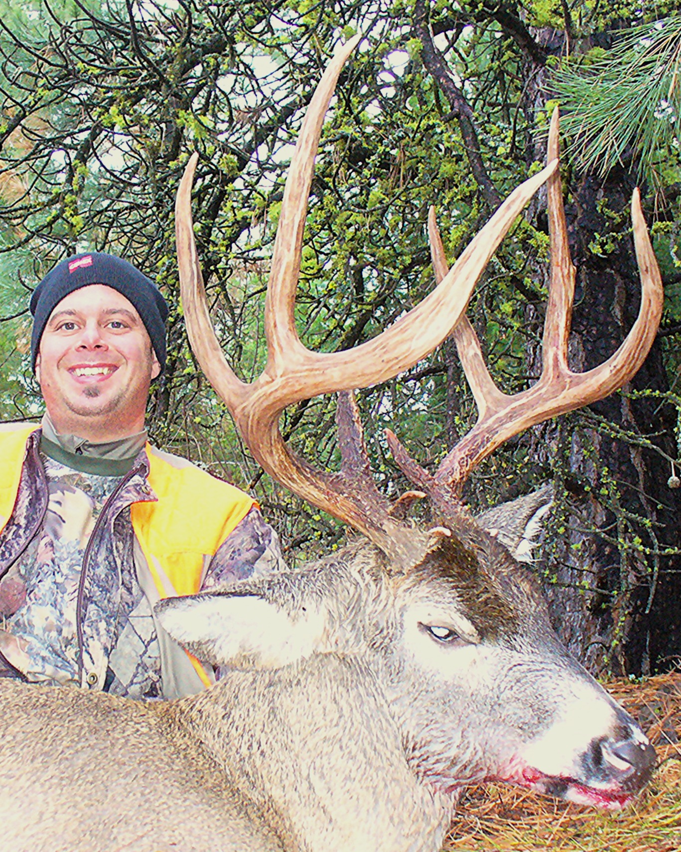 Washington Whitetail Accommodations