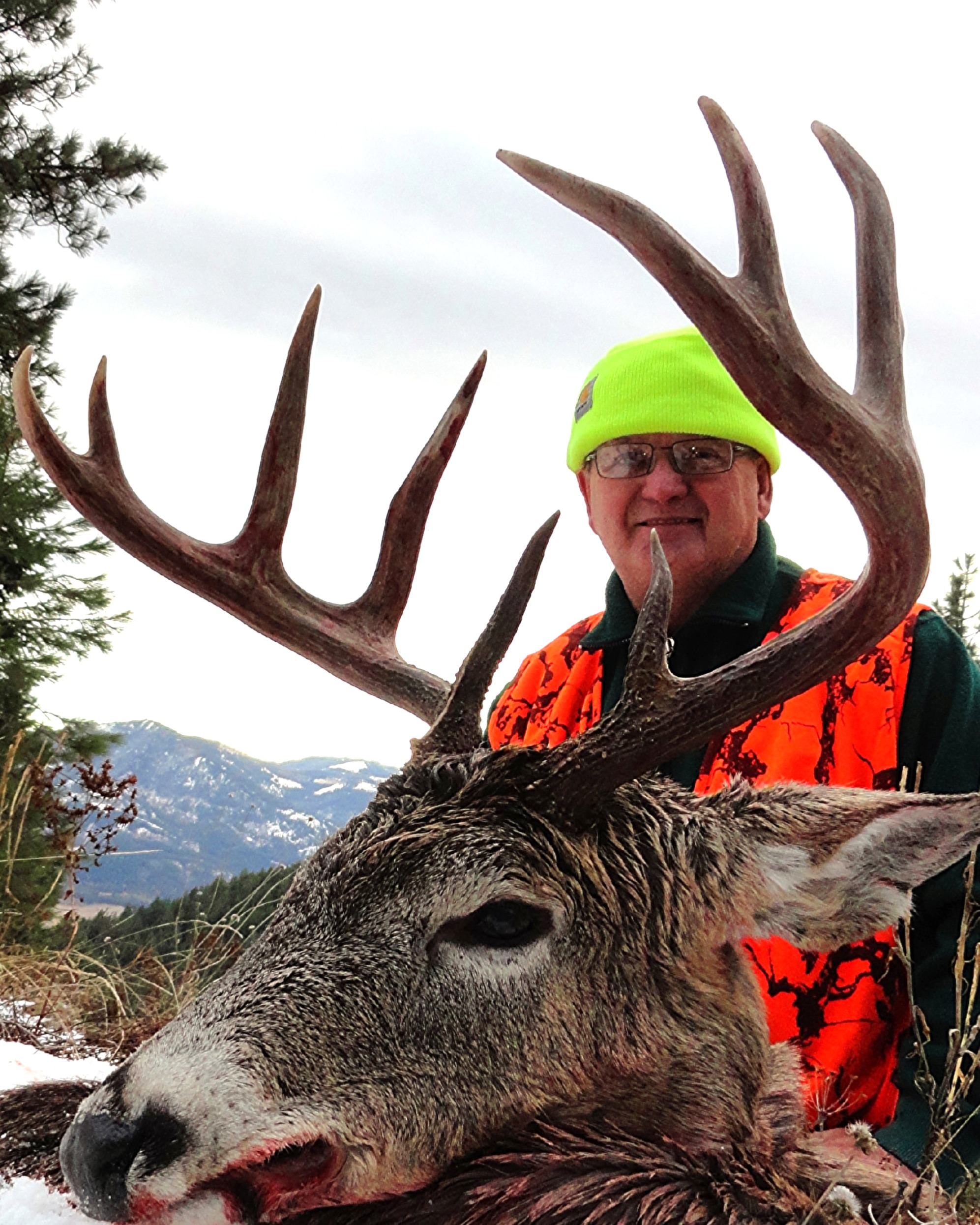 Unguided Washington Whitetail
